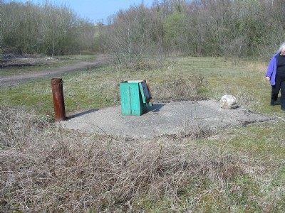 Shaft cap.