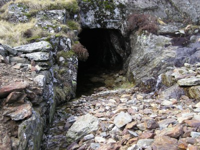 Level