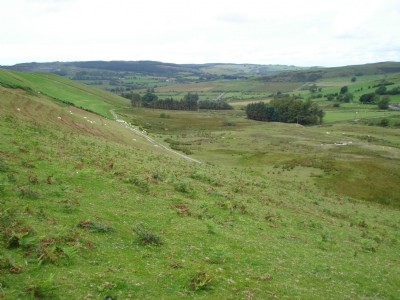 Photographs Of Llwyn Gwyddel