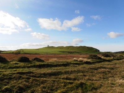 Llwynteifi