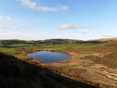 Llwynteifi and Bwlchgwyn