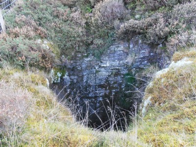 Llwynteifi
