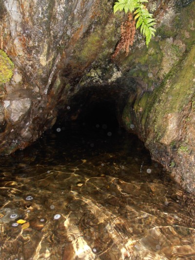 Photographs Of Llwynteifi