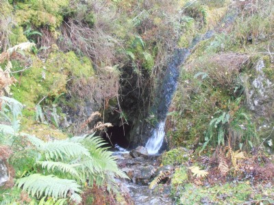 Photographs Of Llwynteifi