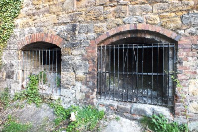 Lodge Furnaces Ironworks (Photo ref 85976)