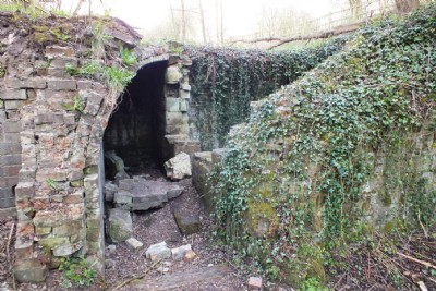 Lodge Furnaces Ironworks (Photo ref 85982)