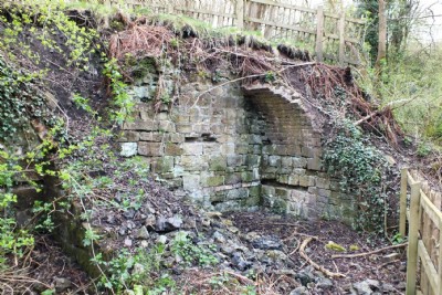 Lodge Furnaces Ironworks (Photo ref 85983)