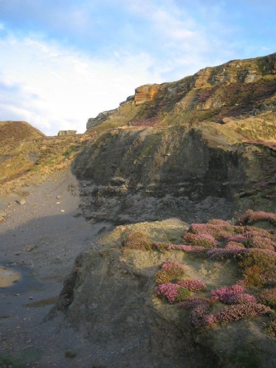 Alum Quarry