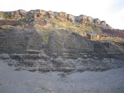 Alum shale below cliff