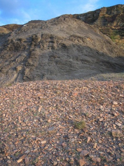 Burnt Shale