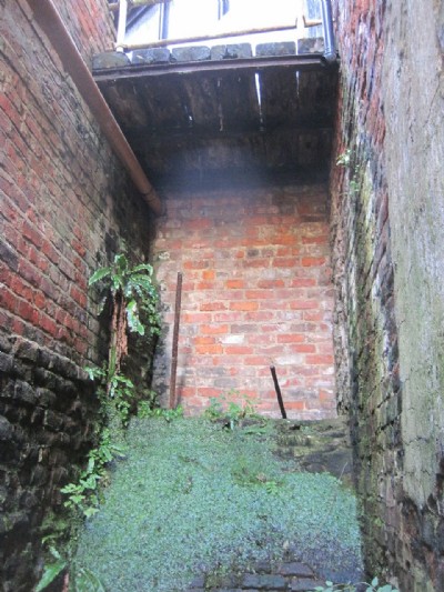Overgrown Waddle Fan Pit