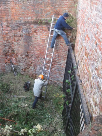 Clearing undergrowth from the site.