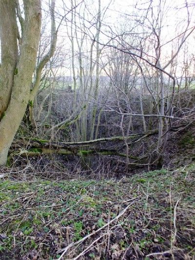 Photographs Of Long Rake (Old Lead)