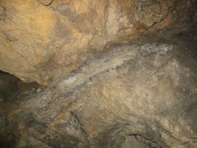 Vein