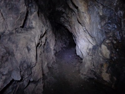 Level