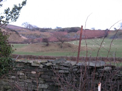 Photographs Of Longlands