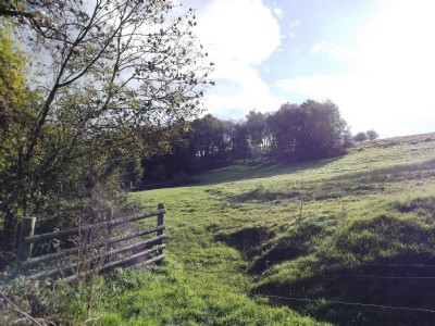 Photographs Of Longway Bank (Lognor)