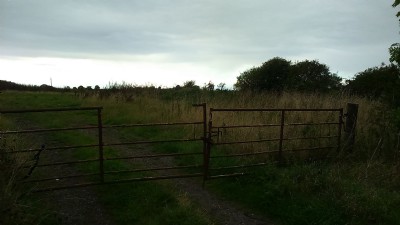 Site of Pea Flatts 2016