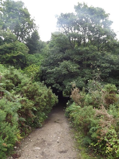 Bridge