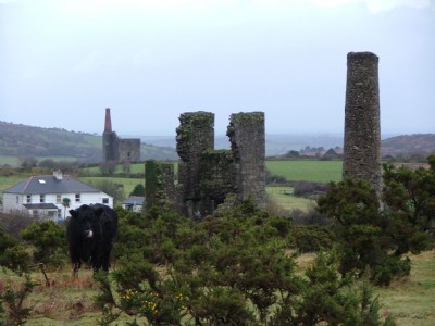 Marke Valley Mines- Wheal Jenkin-Bellinghams Stamps (Prince of Wales Distant) 17.01.06