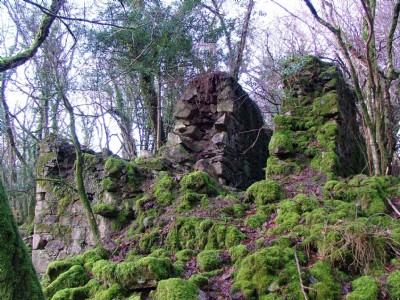 Marke Valley Mines- 1 of many Un-named Old 19th Century workings Wheelpit 17.01.06