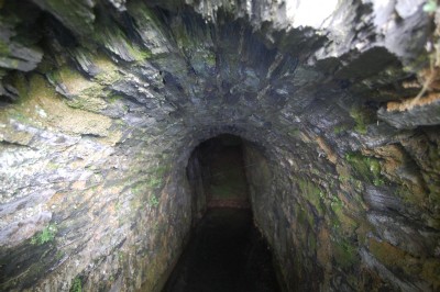 Photographs Of Merlin Hill