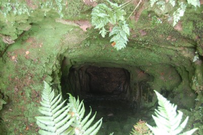 Photographs Of Merlin Hill