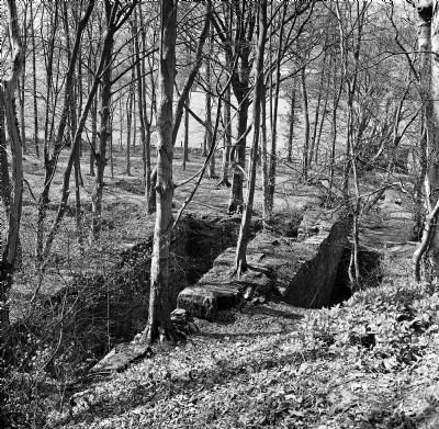 Historic Photographs Of Maeshafn (River Alyn Site)