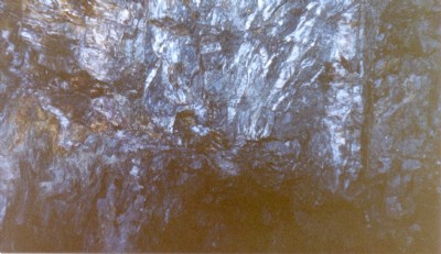 South Maestryfer Level Roof