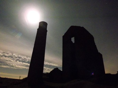 Magpie Moon Shadow