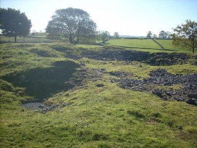 Bole shaft