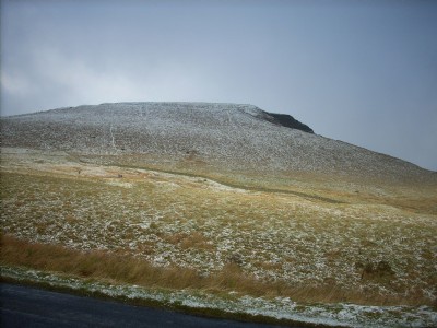 View of the site