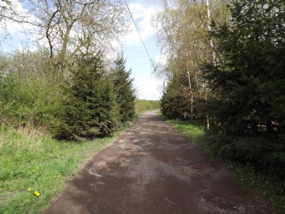Photographs Of Mansfield & Pinxton (Photo ref 75041)