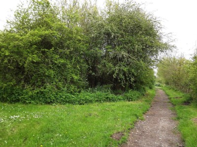 Photographs Of Mansfield & Pinxton (Photo ref 75078)
