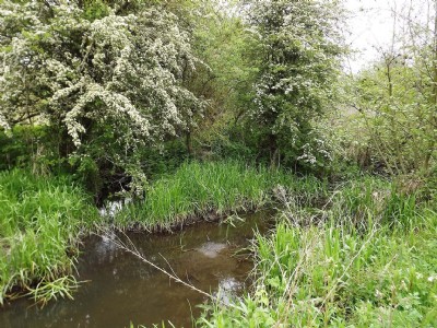Photographs Of Mansfield & Pinxton (Photo ref 75079)