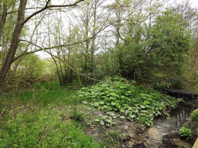 Photographs Of Mansfield & Pinxton (Photo ref 75081)