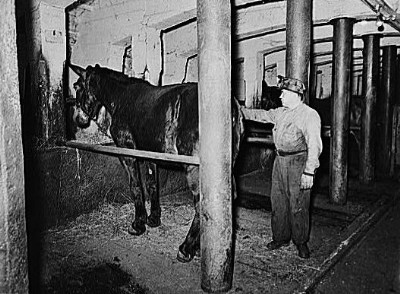 Historic Photographs Of Maple Hill