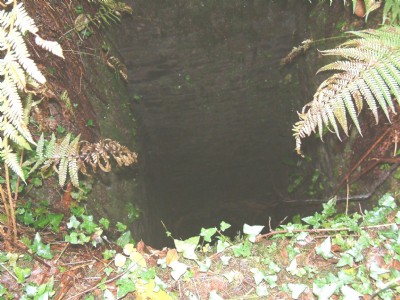 Photographs Of Mapleford Engine