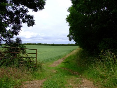 Photographs Of Market Overton