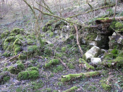Photographs Of Marks Dale