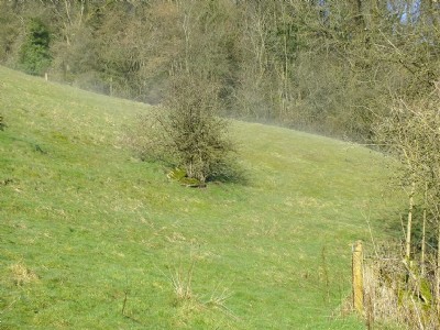 Photographs Of Masson Farm Sough