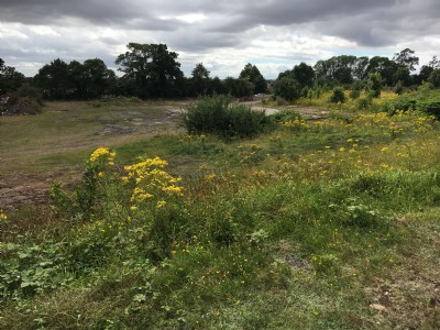 Photographs Of Measham Main