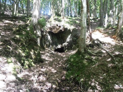 Upper Adit