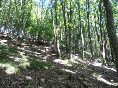 Upper Adit tip