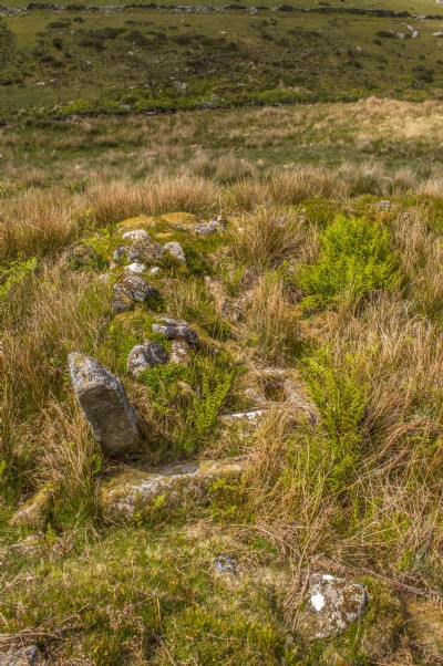 Mould Stone and Doorway, in context above the river Walkham.