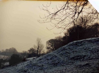 Middle Hill Colliery spoil 1991