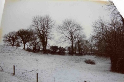 Middle Hill spoil 1991