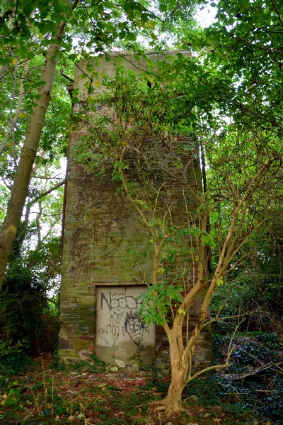 Historic Photographs Of Middle Pit