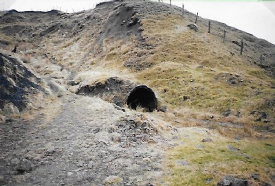 Photographs Of Midge Pits