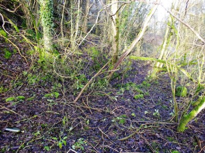 Photographs Of Mill Green Shaft